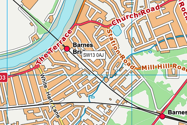 SW13 0AJ map - OS VectorMap District (Ordnance Survey) SW13 0AJ map - OS VectorMap District (Ordnance Survey)