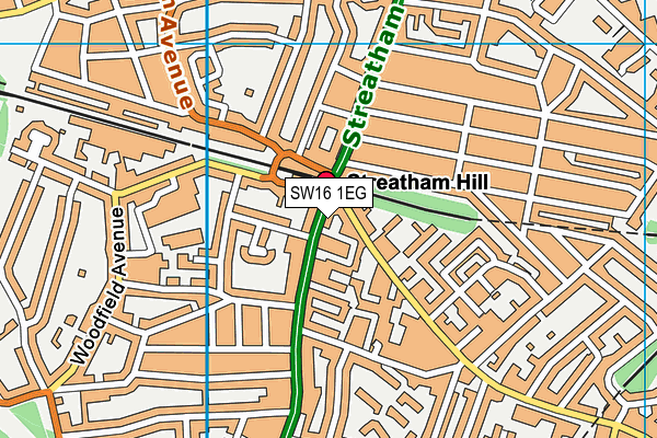 SW16 1EG map - OS VectorMap District (Ordnance Survey) SW16 1EG map - OS VectorMap District (Ordnance Survey)
