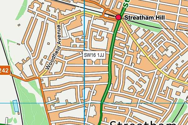 SW16 1JJ map - OS VectorMap District (Ordnance Survey) SW16 1JJ map - OS VectorMap District (Ordnance Survey)