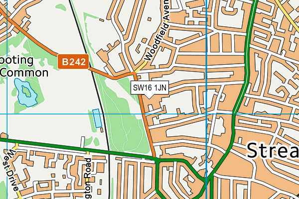 SW16 1JN map - OS VectorMap District (Ordnance Survey) SW16 1JN map - OS VectorMap District (Ordnance Survey)