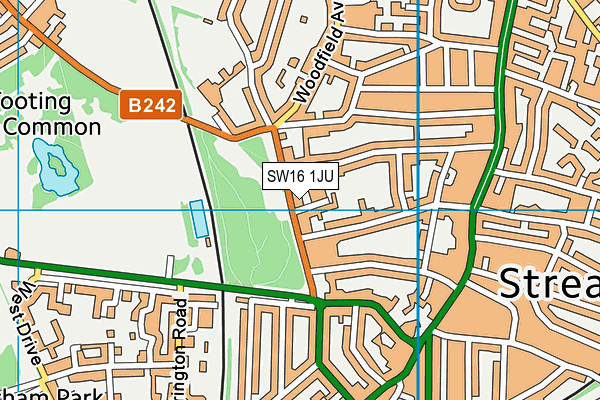 SW16 1JU map - OS VectorMap District (Ordnance Survey) SW16 1JU map - OS VectorMap District (Ordnance Survey)