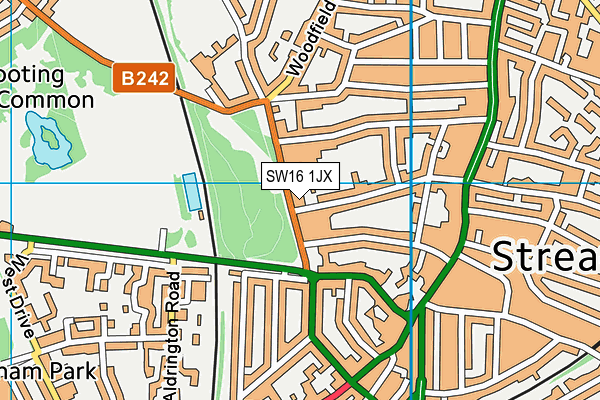 SW16 1JX map - OS VectorMap District (Ordnance Survey) SW16 1JX map - OS VectorMap District (Ordnance Survey)