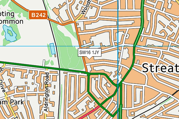 SW16 1JY map - OS VectorMap District (Ordnance Survey) SW16 1JY map - OS VectorMap District (Ordnance Survey)
