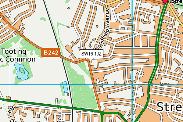 SW16 1JZ map - OS VectorMap District (Ordnance Survey) SW16 1JZ map - OS VectorMap District (Ordnance Survey)