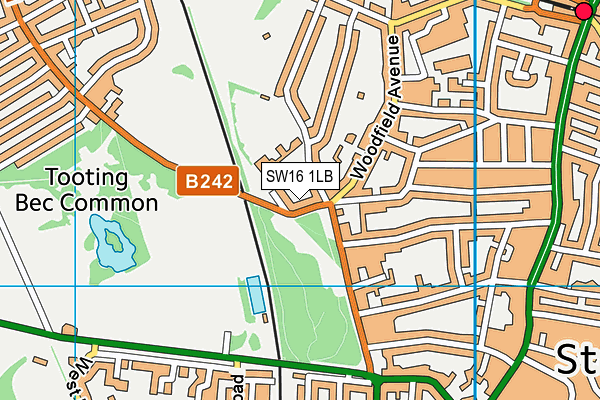 SW16 1LB map - OS VectorMap District (Ordnance Survey) SW16 1LB map - OS VectorMap District (Ordnance Survey)