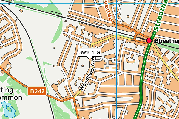 SW16 1LG map - OS VectorMap District (Ordnance Survey) SW16 1LG map - OS VectorMap District (Ordnance Survey)
