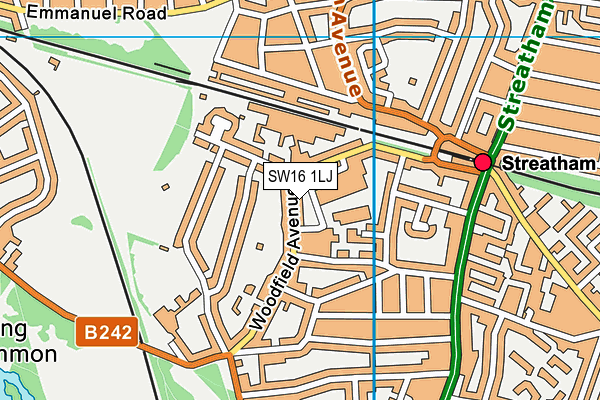 SW16 1LJ map - OS VectorMap District (Ordnance Survey) SW16 1LJ map - OS VectorMap District (Ordnance Survey)