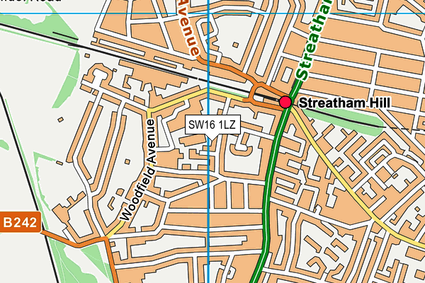 SW16 1LZ map - OS VectorMap District (Ordnance Survey) SW16 1LZ map - OS VectorMap District (Ordnance Survey)
