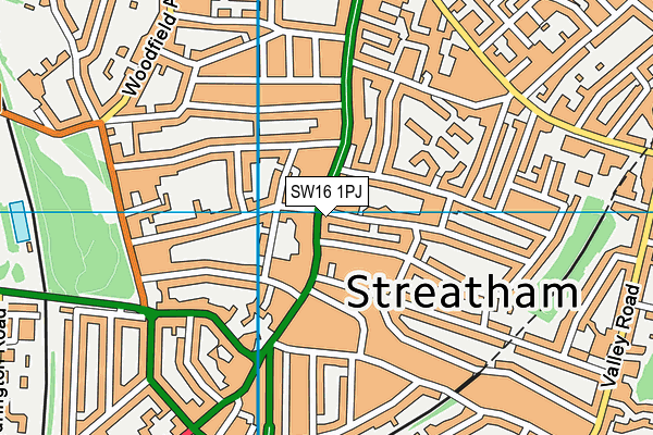 SW16 1PJ map - OS VectorMap District (Ordnance Survey) SW16 1PJ map - OS VectorMap District (Ordnance Survey)