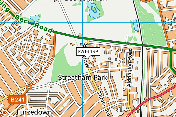 SW16 1RP map - OS VectorMap District (Ordnance Survey) SW16 1RP map - OS VectorMap District (Ordnance Survey)