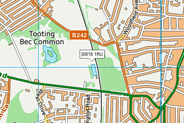 SW16 1RU map - OS VectorMap District (Ordnance Survey) SW16 1RU map - OS VectorMap District (Ordnance Survey)