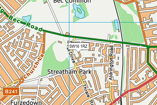 SW16 1RZ map - OS VectorMap District (Ordnance Survey) SW16 1RZ map - OS VectorMap District (Ordnance Survey)