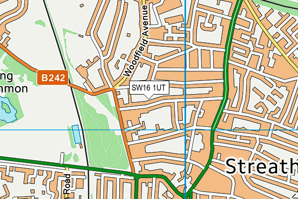 SW16 1UT map - OS VectorMap District (Ordnance Survey) SW16 1UT map - OS VectorMap District (Ordnance Survey)