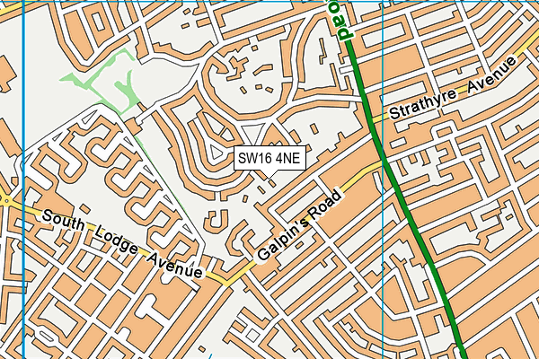 SW16 4NE map - OS VectorMap District (Ordnance Survey) SW16 4NE map - OS VectorMap District (Ordnance Survey)
