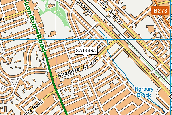 SW16 4RA map - OS VectorMap District (Ordnance Survey) SW16 4RA map - OS VectorMap District (Ordnance Survey)