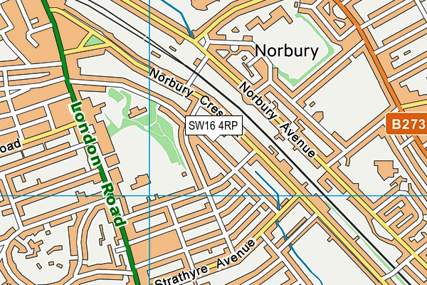 SW16 4RP map - OS VectorMap District (Ordnance Survey) SW16 4RP map - OS VectorMap District (Ordnance Survey)