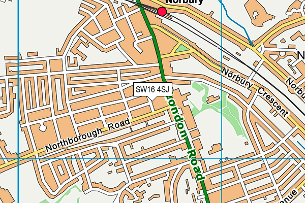 SW16 4SJ map - OS VectorMap District (Ordnance Survey) SW16 4SJ map - OS VectorMap District (Ordnance Survey)