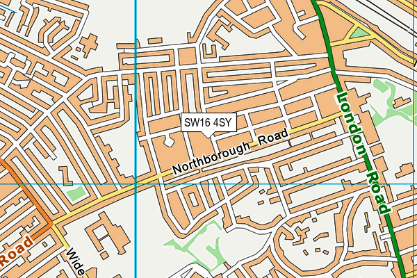 SW16 4SY map - OS VectorMap District (Ordnance Survey) SW16 4SY map - OS VectorMap District (Ordnance Survey)