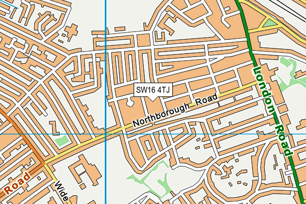 SW16 4TJ map - OS VectorMap District (Ordnance Survey) SW16 4TJ map - OS VectorMap District (Ordnance Survey)
