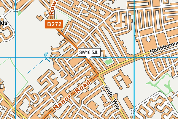 SW16 5JL map - OS VectorMap District (Ordnance Survey) SW16 5JL map - OS VectorMap District (Ordnance Survey)