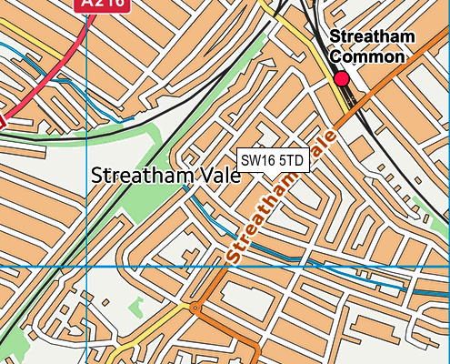 SW16 5TD map - OS VectorMap District (Ordnance Survey) SW16 5TD map - OS VectorMap District (Ordnance Survey)