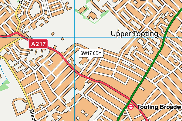 SW17 0DY map - OS VectorMap District (Ordnance Survey) SW17 0DY map - OS VectorMap District (Ordnance Survey)