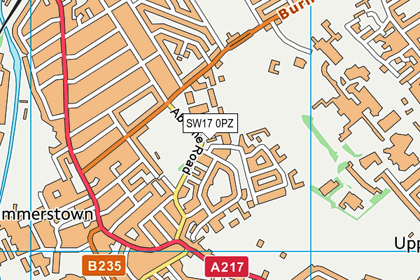 SW17 0PZ map - OS VectorMap District (Ordnance Survey) SW17 0PZ map - OS VectorMap District (Ordnance Survey)