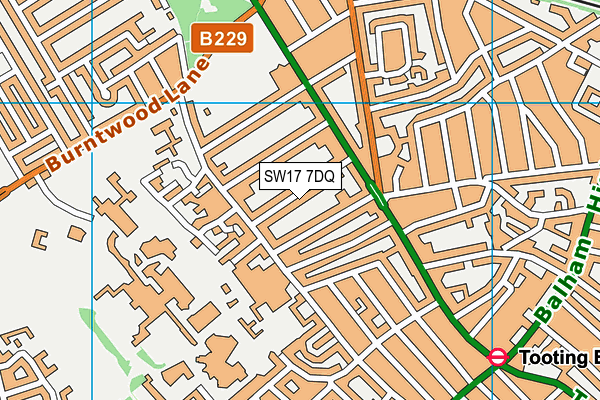 SW17 7DQ map - OS VectorMap District (Ordnance Survey) SW17 7DQ map - OS VectorMap District (Ordnance Survey)