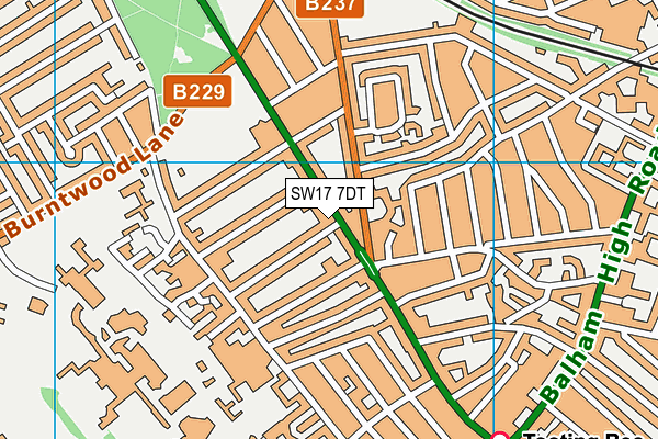 SW17 7DT map - OS VectorMap District (Ordnance Survey) SW17 7DT map - OS VectorMap District (Ordnance Survey)
