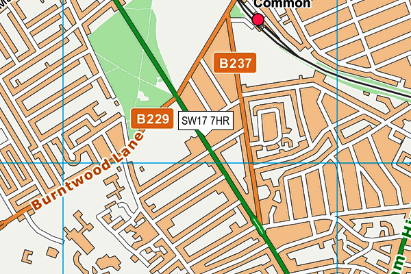 SW17 7HR map - OS VectorMap District (Ordnance Survey) SW17 7HR map - OS VectorMap District (Ordnance Survey)