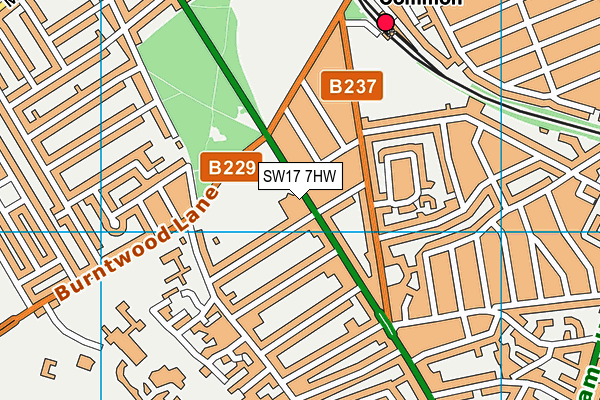 SW17 7HW map - OS VectorMap District (Ordnance Survey) SW17 7HW map - OS VectorMap District (Ordnance Survey)