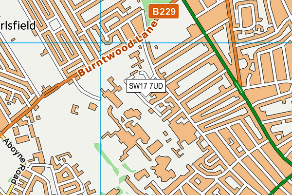 SW17 7UD map - OS VectorMap District (Ordnance Survey) SW17 7UD map - OS VectorMap District (Ordnance Survey)