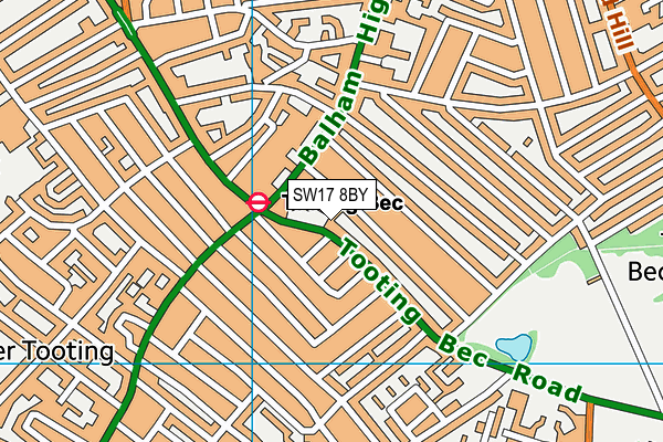 SW17 8BY map - OS VectorMap District (Ordnance Survey) SW17 8BY map - OS VectorMap District (Ordnance Survey)