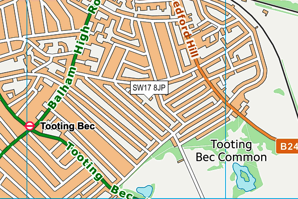 SW17 8JP map - OS VectorMap District (Ordnance Survey) SW17 8JP map - OS VectorMap District (Ordnance Survey)