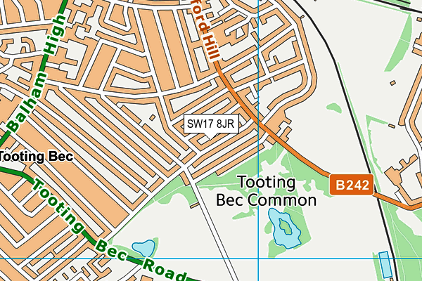 SW17 8JR map - OS VectorMap District (Ordnance Survey) SW17 8JR map - OS VectorMap District (Ordnance Survey)