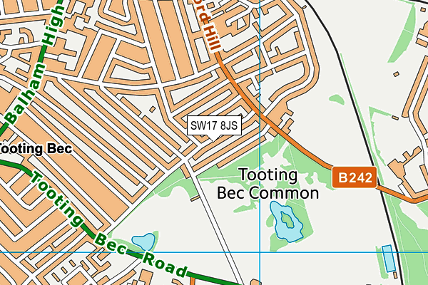SW17 8JS map - OS VectorMap District (Ordnance Survey) SW17 8JS map - OS VectorMap District (Ordnance Survey)