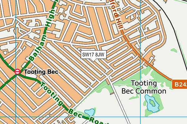 SW17 8JW map - OS VectorMap District (Ordnance Survey) SW17 8JW map - OS VectorMap District (Ordnance Survey)