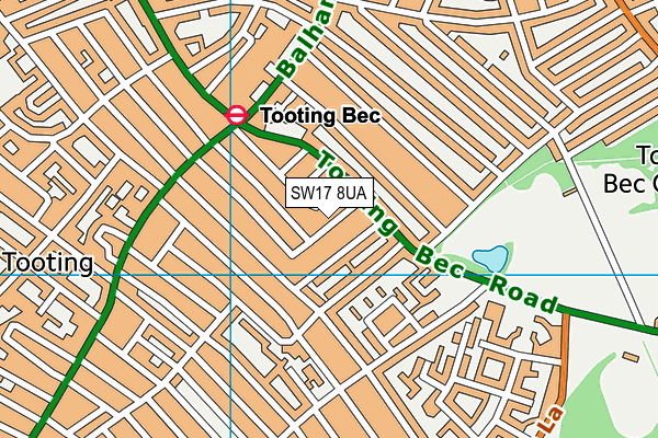 SW17 8UA map - OS VectorMap District (Ordnance Survey) SW17 8UA map - OS VectorMap District (Ordnance Survey)