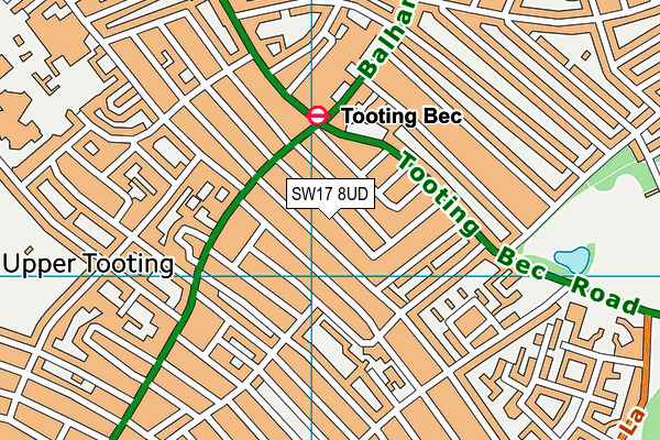 SW17 8UD map - OS VectorMap District (Ordnance Survey) SW17 8UD map - OS VectorMap District (Ordnance Survey)