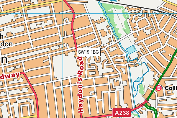 SW19 1BG map - OS VectorMap District (Ordnance Survey)
