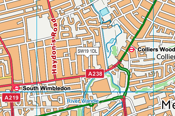 SW19 1DL map - OS VectorMap District (Ordnance Survey)