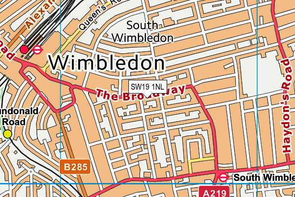 SW19 1NL map - OS VectorMap District (Ordnance Survey)