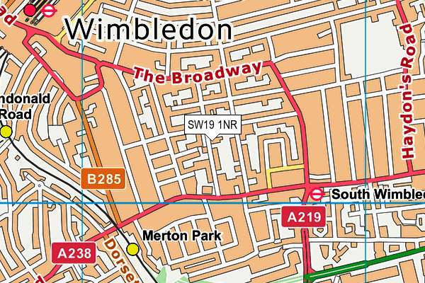 SW19 1NR map - OS VectorMap District (Ordnance Survey)