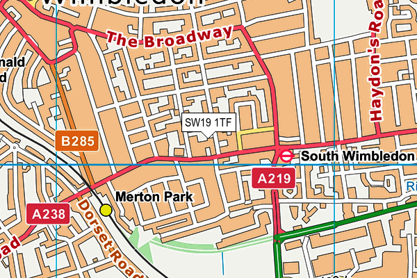 SW19 1TF map - OS VectorMap District (Ordnance Survey)