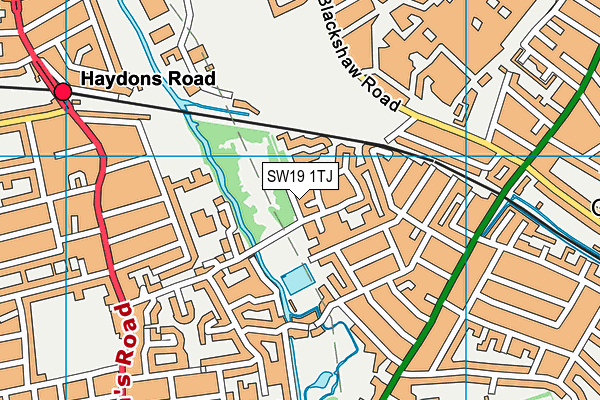 SW19 1TJ map - OS VectorMap District (Ordnance Survey) SW19 1TJ map - OS VectorMap District (Ordnance Survey)