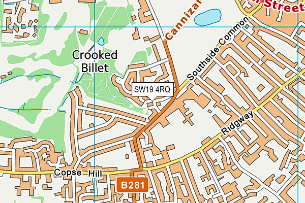SW19 4RQ map - OS VectorMap District (Ordnance Survey) SW19 4RQ map - OS VectorMap District (Ordnance Survey)