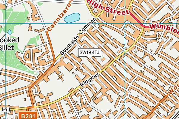 SW19 4TJ map - OS VectorMap District (Ordnance Survey) SW19 4TJ map - OS VectorMap District (Ordnance Survey)
