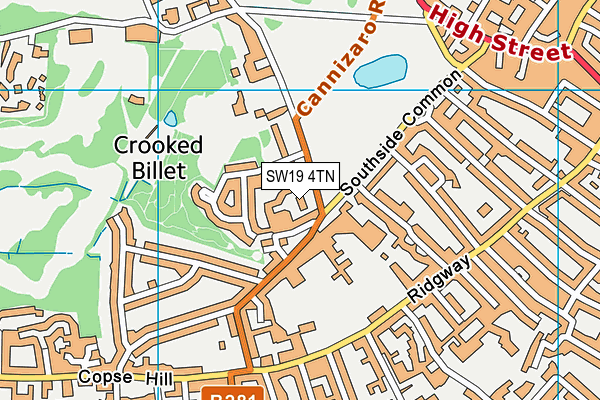 SW19 4TN map - OS VectorMap District (Ordnance Survey) SW19 4TN map - OS VectorMap District (Ordnance Survey)