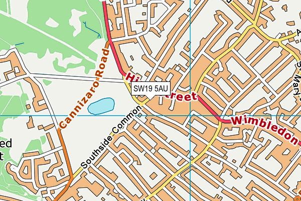 SW19 5AU map - OS VectorMap District (Ordnance Survey)