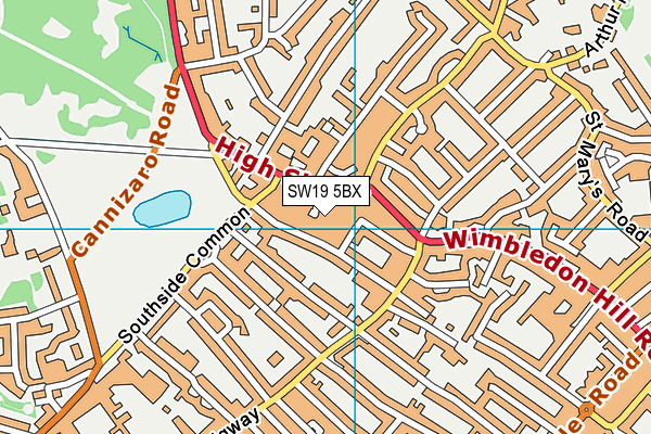 SW19 5BX map - OS VectorMap District (Ordnance Survey) SW19 5BX map - OS VectorMap District (Ordnance Survey)